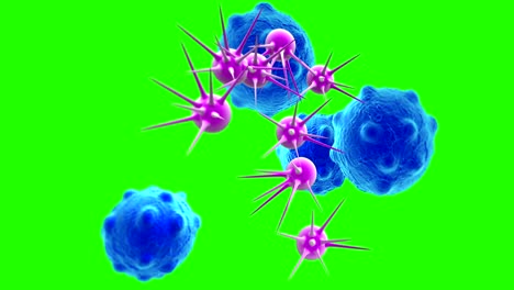 animation----cancer-cells-with-high-details-on-green-screen