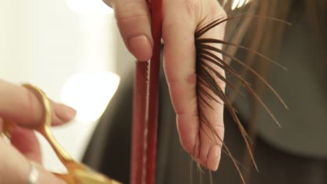 Hand-hairstylist-cutting-hair-tips-during-woman-haircut-with-scissors-in-hairdressing-salon.-Close-up-hairstylist-making-female-hair-cut-in-beauty-studio