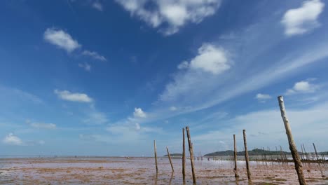 Clouds-in-sunny-day-,low-angle-view-time-lapse-.