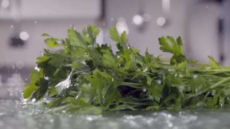 Falling-of-parsley-into-the-wet-table.-Slow-motion-480-fps