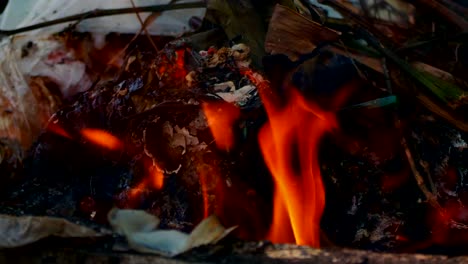 close-up-motion-of-burning-fire.-incineration-of-garbage.4k-footage