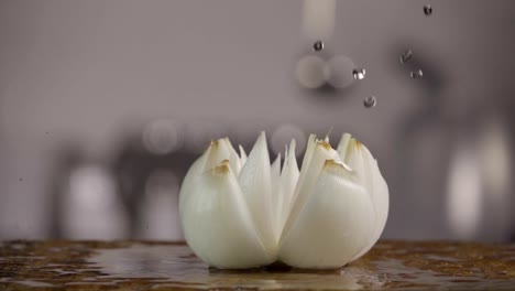 Falling-of-white-onion-into-the-wet-table.-Slow-motion-240-fps