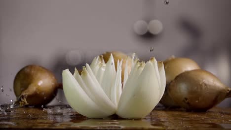 Falling-of-white-onion-into-the-wet-table.-Slow-motion-240-fps