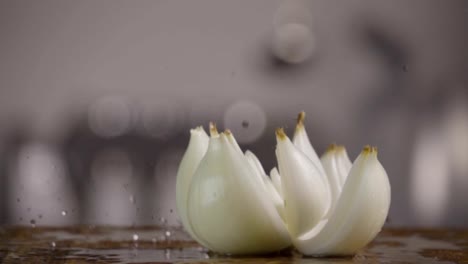 Falling-of-white-onion-into-the-wet-table.-Slow-motion-480-fps