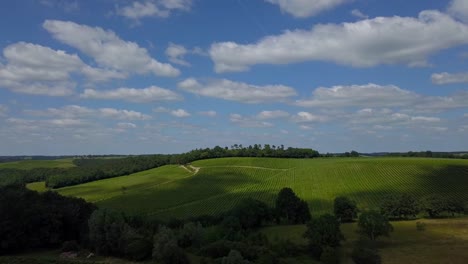 Aerial-view-beautiful-landscape-Bordeaux-Vineyard-at-sunrise,film-by-drone-in-summer