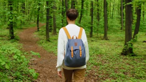 Wanderer-Frau-mit-Rucksack-im-Wald-spazieren.-Montage-video.