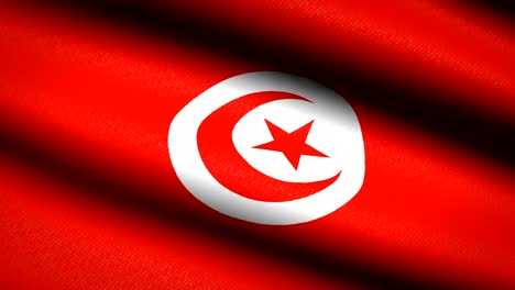 Tunisia-Flag-Waving-Textile-Textured-Background.-Seamless-Loop-Animation.-Full-Screen.-Slow-motion.-4K-Video