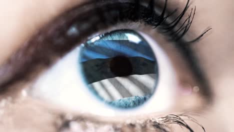 woman-blue-eye-in-close-up-with-the-flag-of-Estonia-in-iris-with-wind-motion.-video-concept