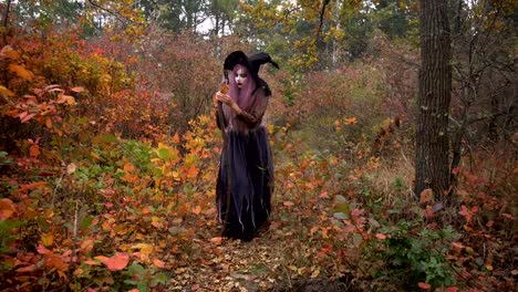 Jóvenes-rosa-pelo-bruja-en-reactivos-de-la-búsqueda-sombrero-en-el-místico-bosque-de-otoño.-Preparación-de-Halloween.