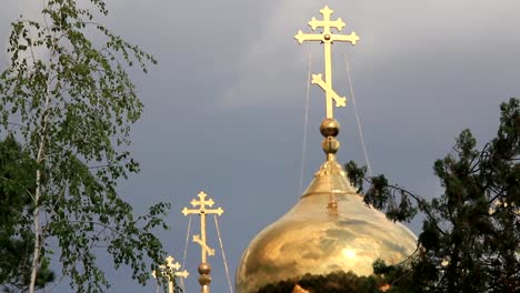 Parte-superior-de-los-árboles-junto-a-la-cúpula-de-la-iglesia