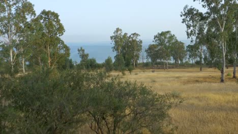 Toma-aérea-del-mar-de-Galilea-y-alrededor-de-él-en-un-día-soleado-caliente