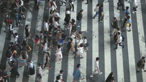 Accelerated-High-Angle-/-Top-Down-Shot-of-the-People-Walking-on-Pedestrian-Crossing-of-the-Road.-Big-City-with-Crowd-of-People-on-the-Crosswalk-in-the-Evening.