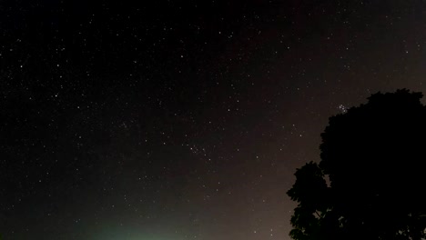 Time-Lapse-Stern-und-Baum-vor-Nebel-und-Tau