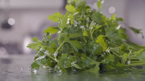 Falling-of-parsley-into-the-wet-table.-Slow-motion-240-fps