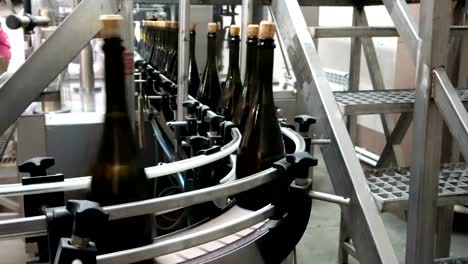 The-line-for-filling-and-sealing-the-conveyor-in-a-factory-of-champagne