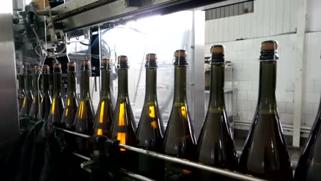 La-línea-de-llenado-y-sellado-de-la-cinta-transportadora-en-una-fábrica-de-champagne