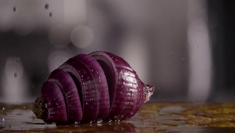 Falling-of-sliced-red-onion-into-the-wet-table.-Slow-motion-240-fps