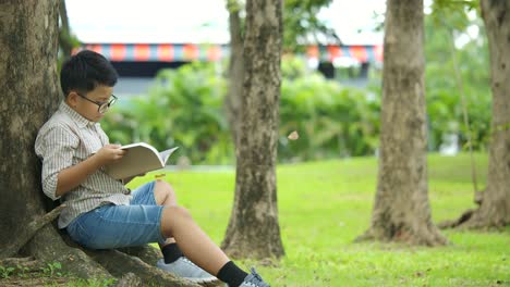 Kleiner-Junge-in-an-einem-sonnigen-Tag-unter-dem-Baum-sitzt-und-liest-ein-Buch-mit-Blätter-fallen-die-Bäume-in-Zeitlupe.