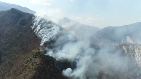 Un-tiro-aéreo-móvil-del-bosque-cubierto-de-humo...