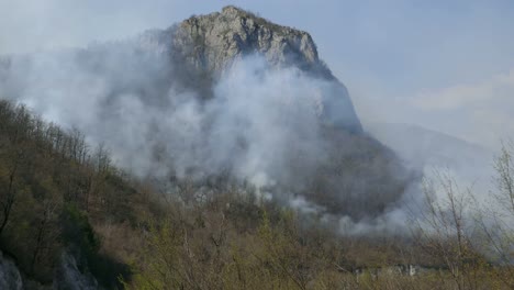 Zeit-Zeitraffer-Aufnahmen-von-einem-schwelenden-Wald