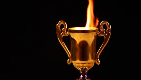 gold-cup-fire-flame-dark-background-hd-footage