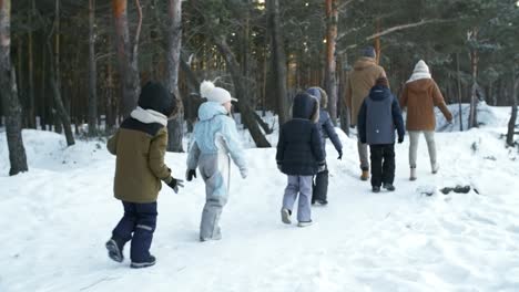 Senderismo-en-familia-en-Snowy-Pine-Forest