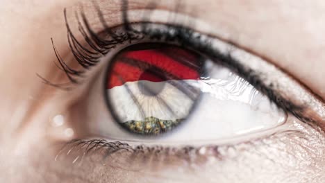 woman-green-eye-in-close-up-with-the-flag-of-Monaco-in-iris-with-wind-motion.-video-concept