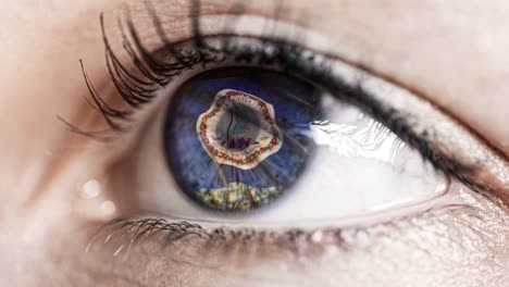 Woman-green-eye-in-close-up-with-the-flag-of-Virginia-state-in-iris,-united-states-of-america-with-wind-motion.-video-concept