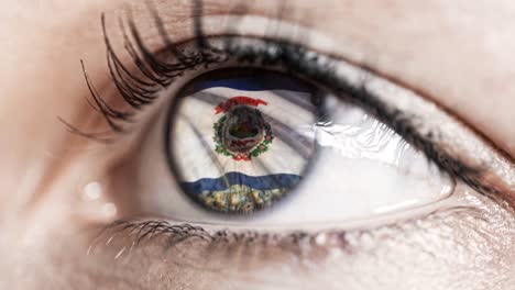 Mujer-ojo-verde-en-primer-plano-con-la-bandera-del-estado-de-Virginia-Occidental-en-iris,-estados-unidos-de-América-con-movimiento-de-viento.-concepto-de-vídeo