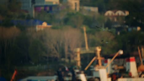 ships-are-in-the-port.-Seagulls-fly-over-the-water-in-the-port-area.-close-up