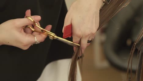 Hairdresser-combing-and-cutting-woman-hair-with-hairdressing-scissors-in-beauty-studio.-Close-up-haircutter-making-female-haircut-with-scissors-in-hairdressing-salon