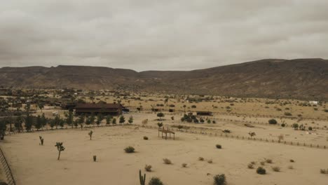 Flying-over-trees-and-houses-in-the-desert.