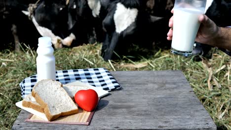 Mano-de-persona-sostenga-el-vaso-de-leche-y-pan-de-desayuno.-Fondo-de-vacas-en-una-granja.-Alimentos-y-sano-concepto-de-la-leche.-Cámara-lenta