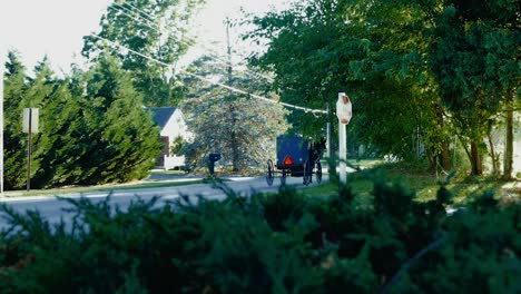 Amish-Horse-and-Buggy-in-late-Afternoon