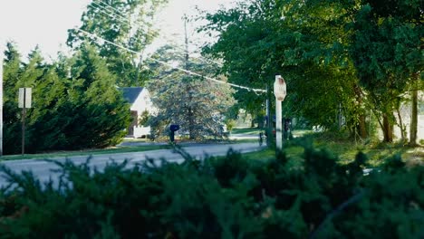 Amish-Horse-and-Buggy-in-late-Afternoon