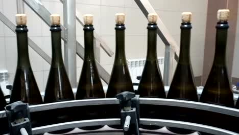 The-line-for-filling-and-sealing-the-conveyor-in-a-factory-of-champagne