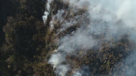 Bewegliche-Luftaufnahmen-des-Feuers-Schwelbrand-im-Wald