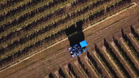 Máquina-cosecha-uva,-vista-aérea-del-país-del-vino-cosecha-de-la-uva-con-la-máquina-segador,-zángano-de-la-vista-del-paisaje-de-viñedos-de-Bordeaux,-Francia