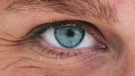 Blue-Female-Eye-Extreme-Close-Up.