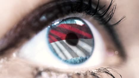 woman-blue-eye-in-close-up-with-the-flag-of-monaco-in-iris-with-wind-motion.-video-concept