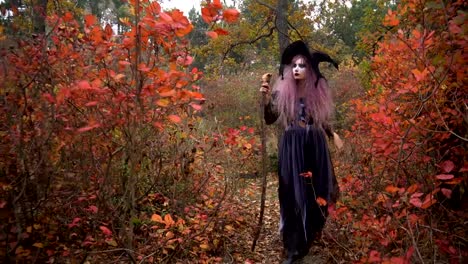 Jóvenes-rosa-pelo-bruja-sombrero-caminando-en-el-bosque-místico-del-otoño.-Preparación-de-Halloween.