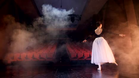 Bailarina-de-ballet-haciendo-movimientos-agraciados