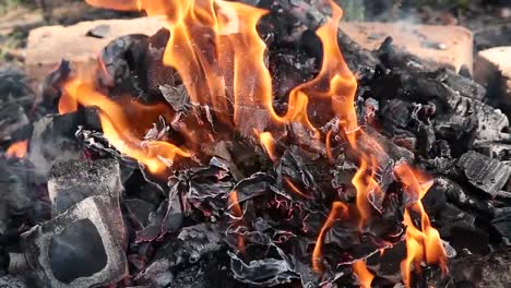 Burning-in-the-forest-bonfire-from-dry-twigs