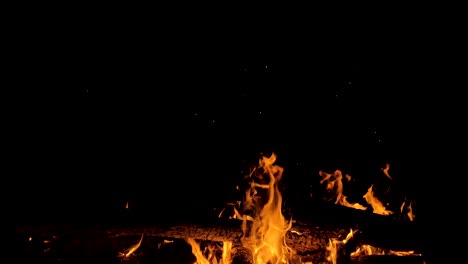 Feuer-in-der-Natur.-Bokeh-aus-dem-Feuer.