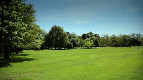 Christ-Church-meadow