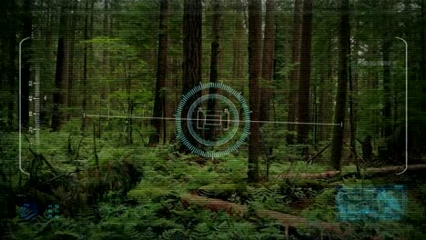 Drone-HUD-POV-Rising-From-Forest-Floor