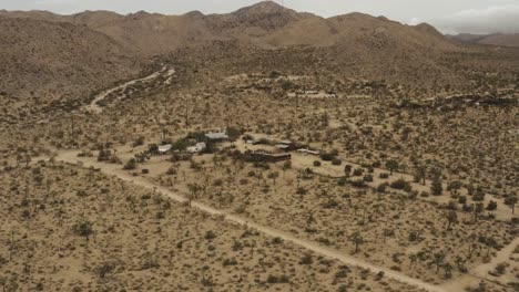 Flying-over-trees-and-houses-in-the-desert.