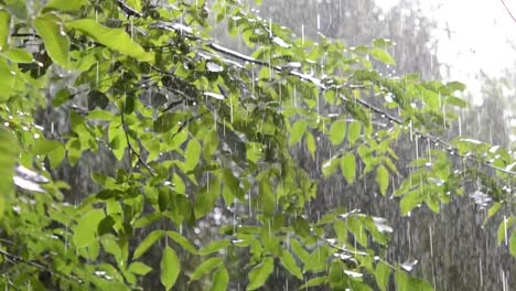 Precipitaciones-de-lluvias-ducha-aguacero-aguacero-viene-durante-el-día.