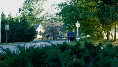 Amish-Horse-and-Buggy-in-late-Afternoon