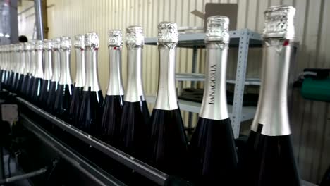 The-line-for-filling-and-sealing-the-conveyor-in-a-factory-of-champagne